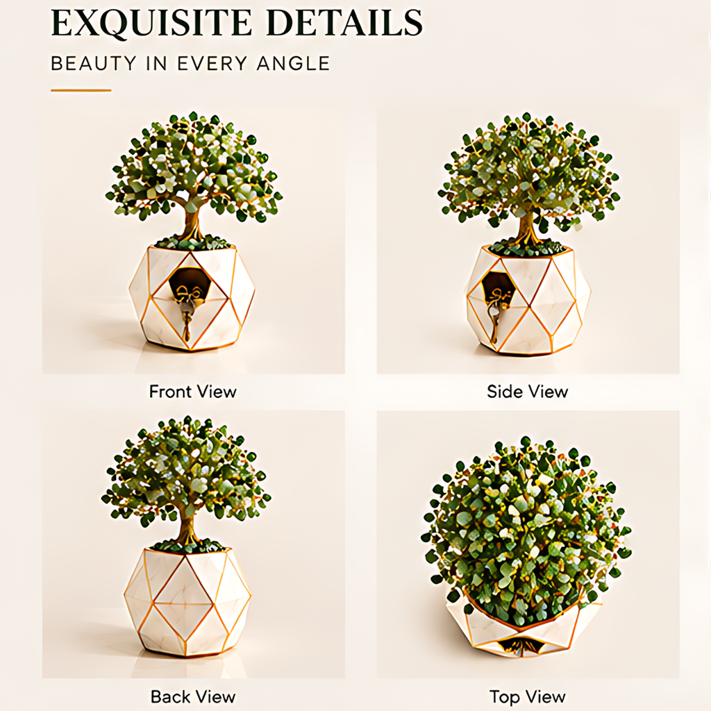 Front, side, back, and top views of the green jade Tree of Life jewelry box