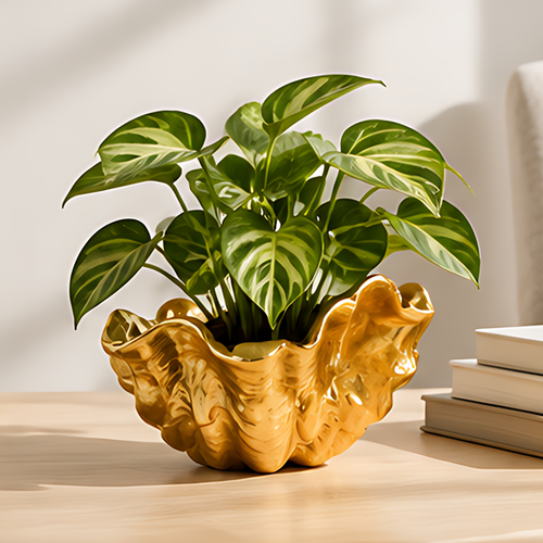 Glossy gold-toned shell planter with flowing ridges and a wavy rim, styled with variegated green foliage